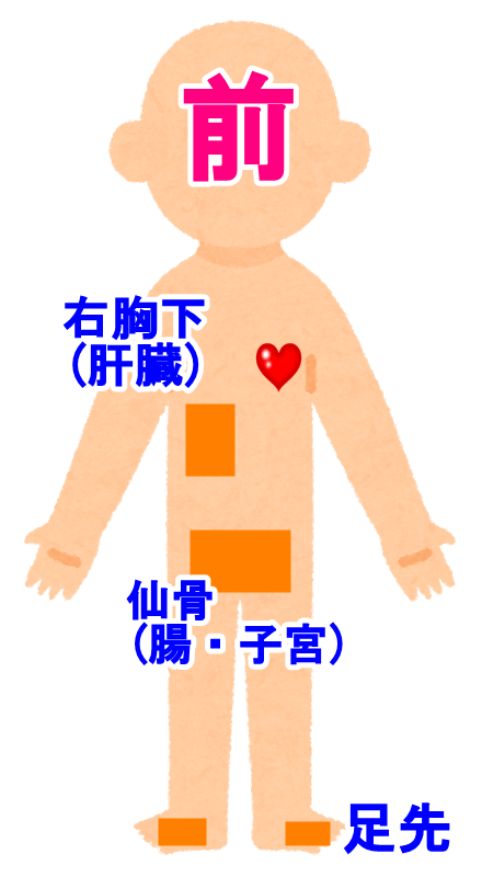 body_blank_figure_front.png